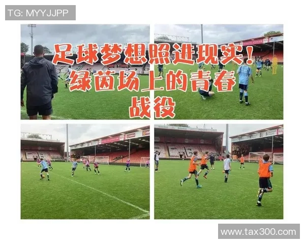 从球场到绿茵场:球星转行踢足球的幕后故事与挑战 从球场到绿茵场:球星转行踢足球的幕后故事与挑战